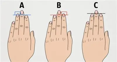 西语小测试:手指长度能看出人的性格,你是属于哪一种呢?