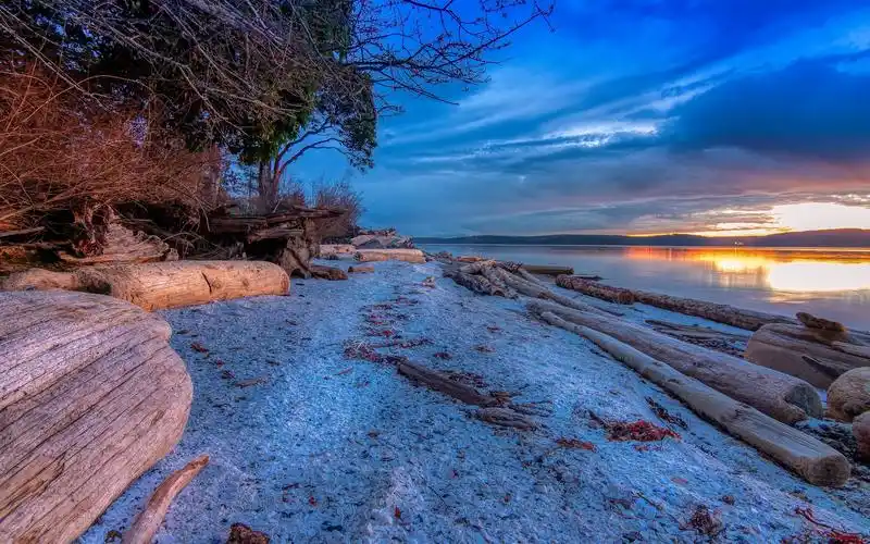 河流,岸边,树木,日落