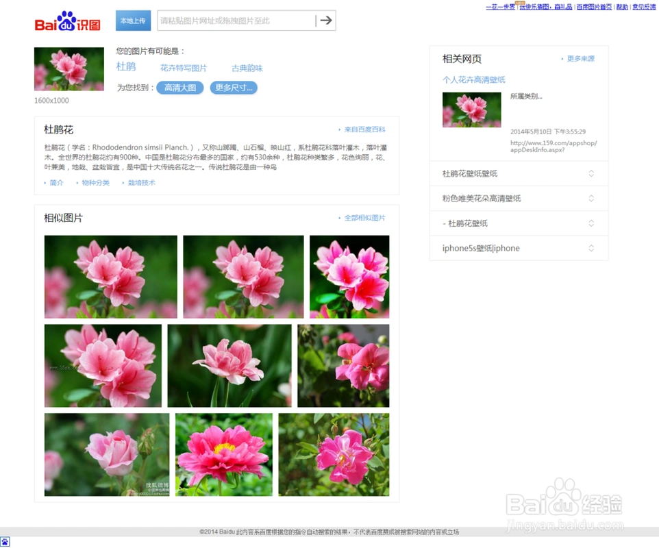 上传后,它会自动识别匹配找到相同和相似的图片,这样的话就可以找到