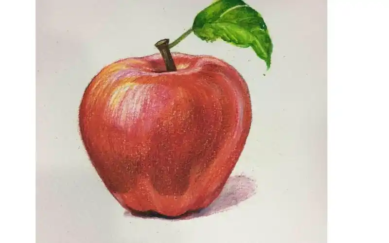 彩铅画苹果-插画师手绘训练-瓜果
