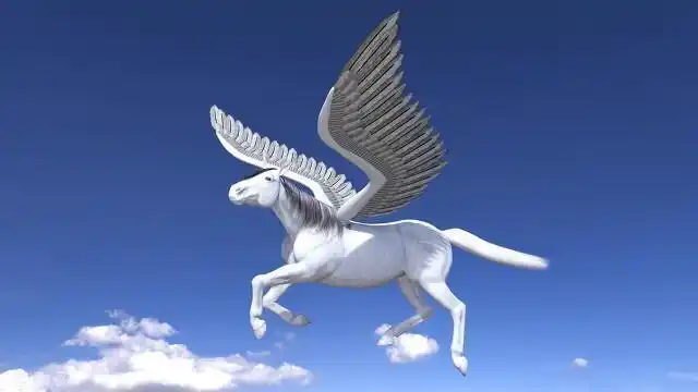 哪怕飞马姬有了飞行上的优势,但是他们的飞行距离因为母鸡翅膀的缘故