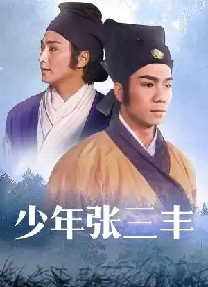 少年张三丰海报封面图