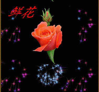 问候祝福动态gif文字素材【资料/网络 编辑/阿唐】 - 金罗店阿唐 - 金