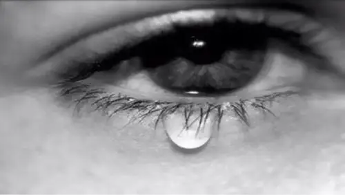 从此任凭自乐 曾以热泪灌醉 醉掉时时对你的狂热 醉食所有伤心惨目