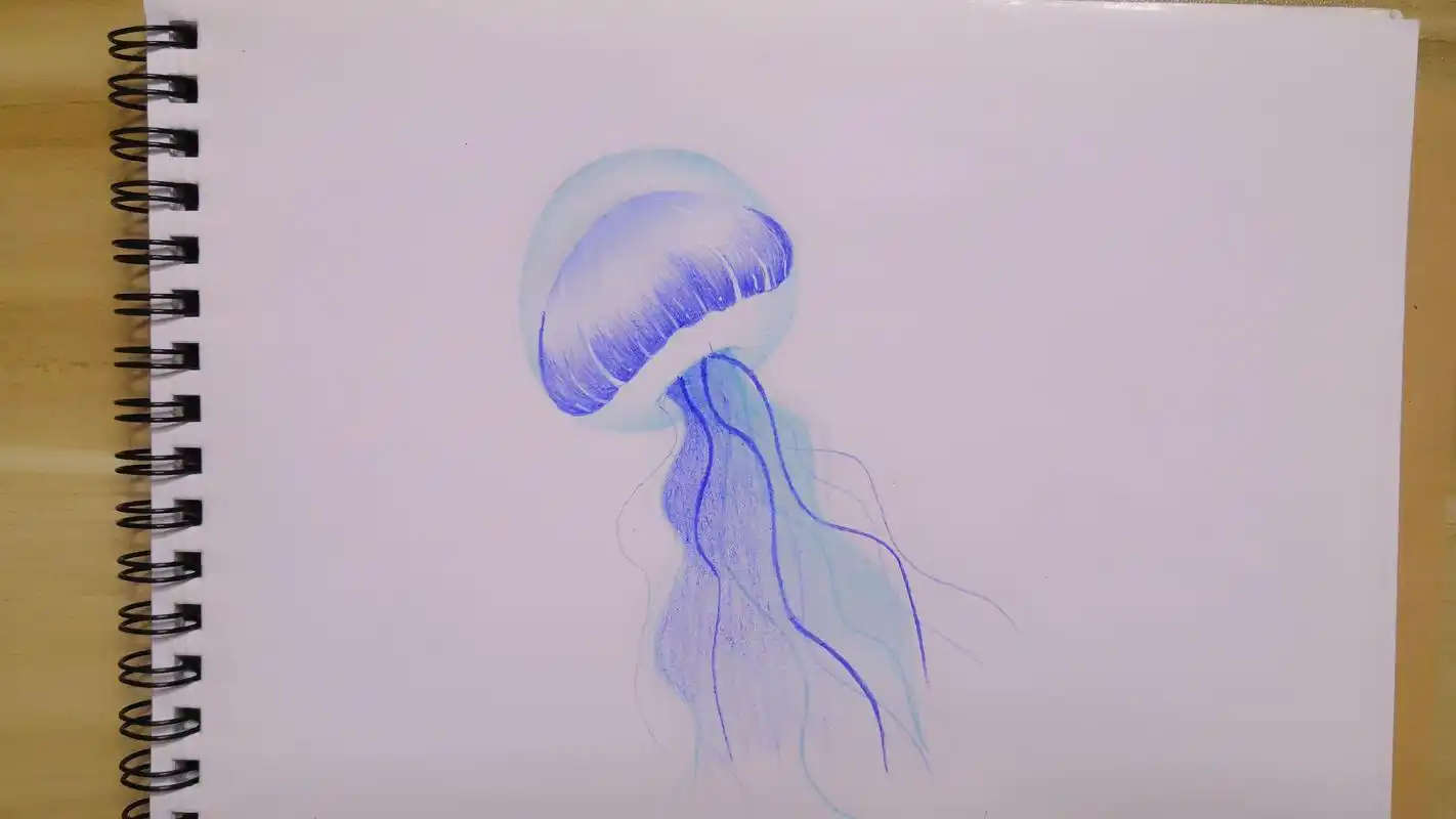 彩铅|(彩铅打卡18天)简单漂亮水母教程
