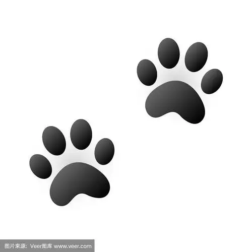 可爱的,脚印,动物,绘画插图,卡通