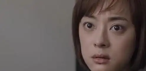 最新的剧目《理想之城》收视率也挺不错的.