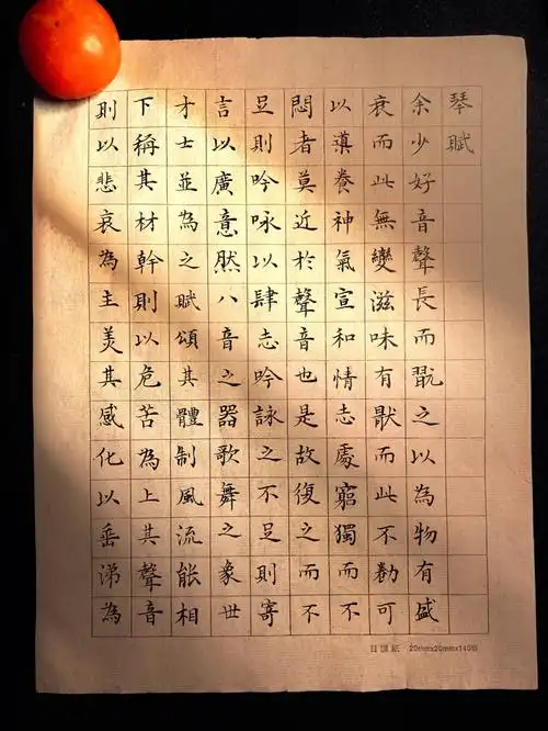 练习小楷文徵明琴赋