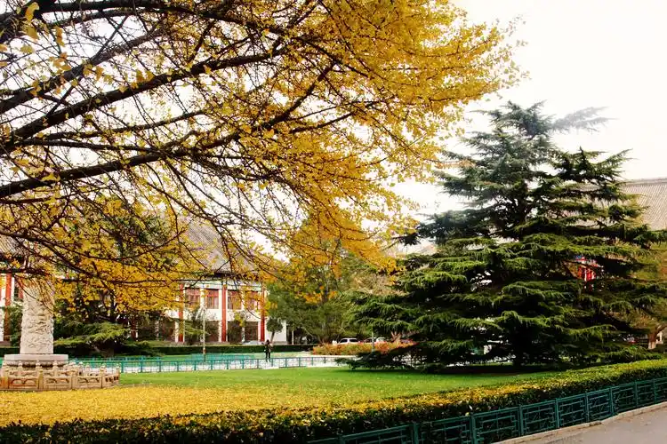 我见过那些大学的美丽校园(上)