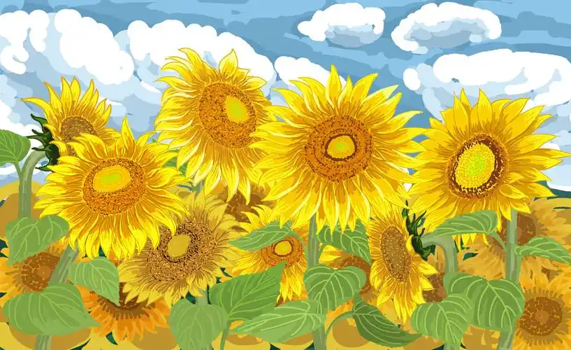 我的植物朋友向日葵作文250字左右