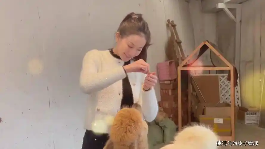 艺术体操女神喂羊驼时转圈圈,形象温柔恬静明艳动人_张豆豆