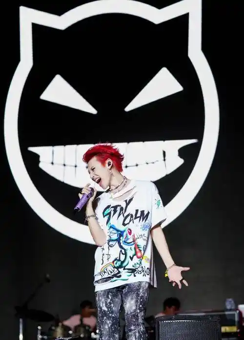 小鬼音乐节现场惹争议,"抽搐"式表演好雷人,还被嘲模仿华晨宇_舞台