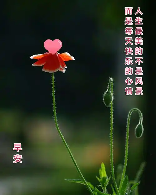 早安寄语