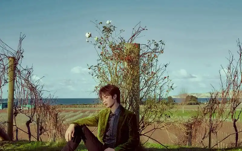 朱正廷英伦风帅气桌面壁纸高清大图预览1920x1200_大陆明星下载_美桌