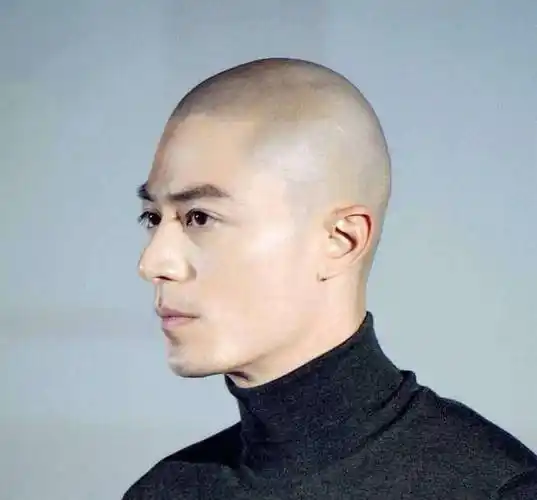 这些明星的光头造型告诉你,颜值真的不取决于发型_张卫健_气质_李易峰
