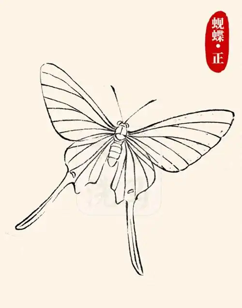 9种常见蝴蝶的画法线稿!合集收藏