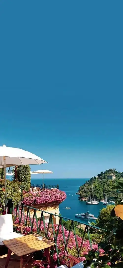 快手最火手机壁纸丨跟着大哥混三天饿九顿