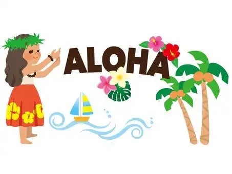 夏威夷米饭汉堡