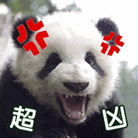 熊猫gif超凶gif生气gif可爱gif呆萌gif