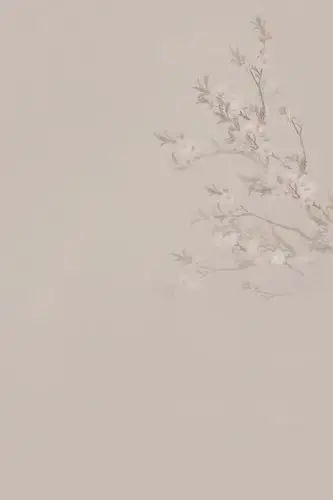 影楼摄影背景古典中国风背景布古装拍照背景复古民国风全家福背景