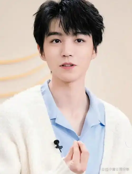 王俊凯:从少年偶像到全能艺人的华丽蜕变