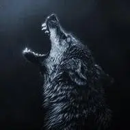 狼图片大全大图霸气 凶猛霸气的狼头像图片(24张)_动物头像_小脸头像