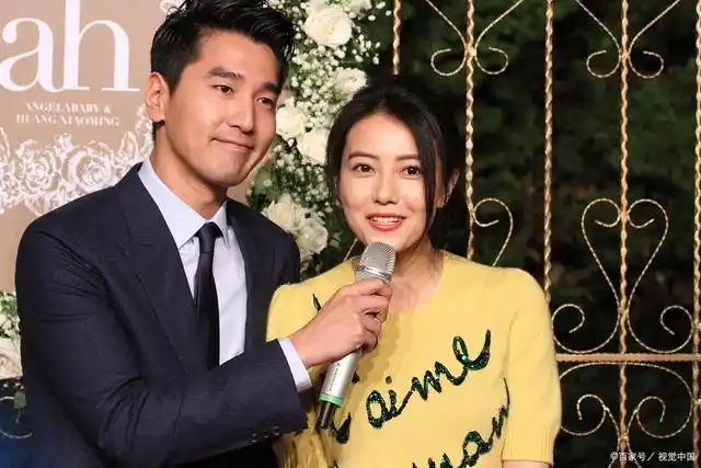 高圆圆嫁给赵又廷,豪宅奢华生活意外曝光