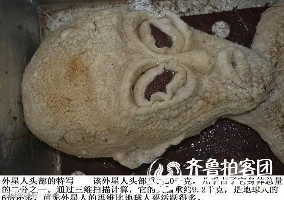 山东滨州外星人事件详情(高清图)