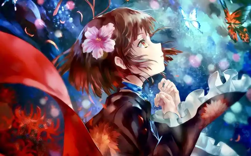 壁纸推荐(ipad篇)第一期