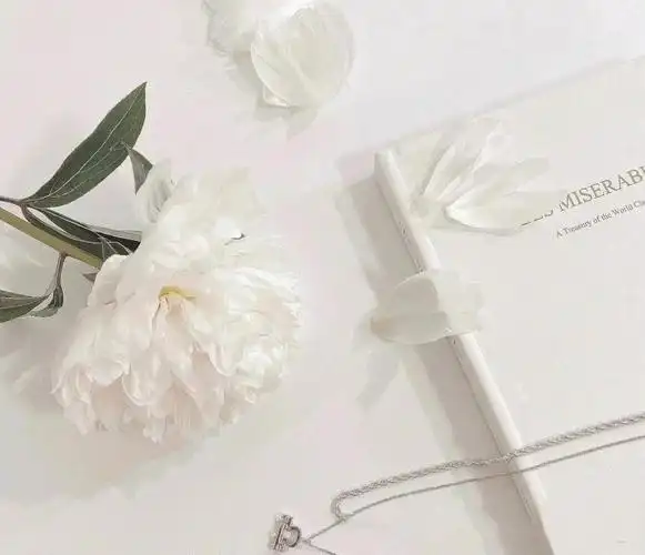 ins背景图  #朋友圈背景图  #ins风  #壁纸分享