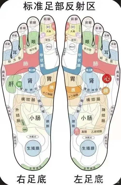 人老脚先老,那些年被你忽略的脚