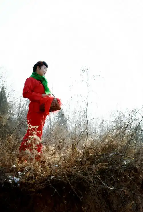 圪梁梁上的女人