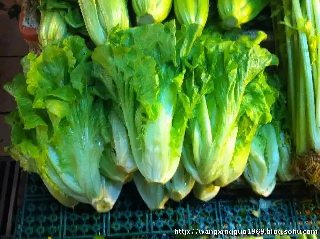 绿叶菜含较多维生素e 虽然就相对含量而言,绿叶菜所含维生素e不及油脂