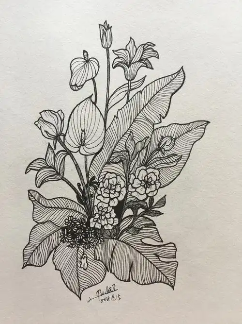 黑白线条[z动心]