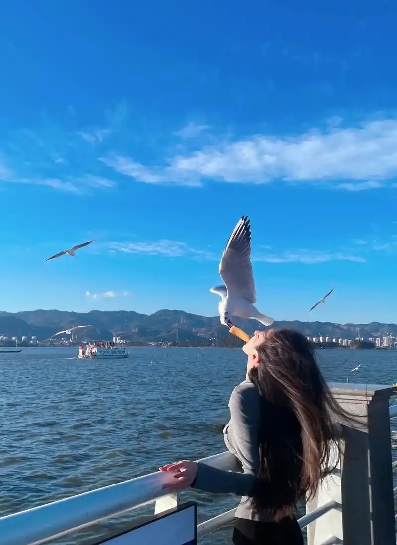 一封来自西伯利亚的蓝色情书94.#去有风的地方看海鸥飞翔 # - 抖音