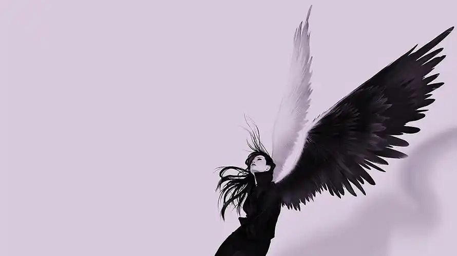 每个人心中都有天使与恶魔的存在 你是好人还是坏人 取决于你心中的