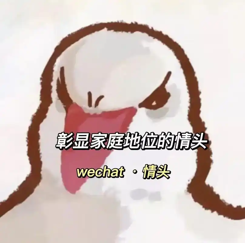 一组彰显你家庭地位的情头#可爱情头 #情侣头像 - 抖音