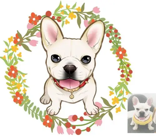 q萌宠物定制照片q版头像漫画卡通形象设计真人狗猫人物q版转手绘