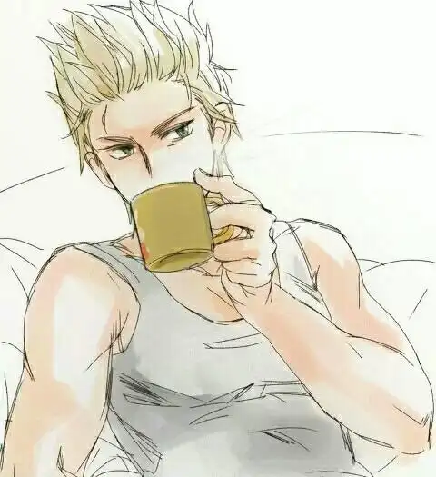 黑塔利亚.霍兰德.侵删歉