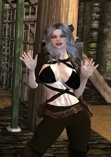 上古卷轴5天际精灵皮革比基尼mod