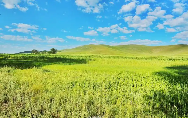 宽阔唯美青青草原绿色护眼桌面壁纸图片下载