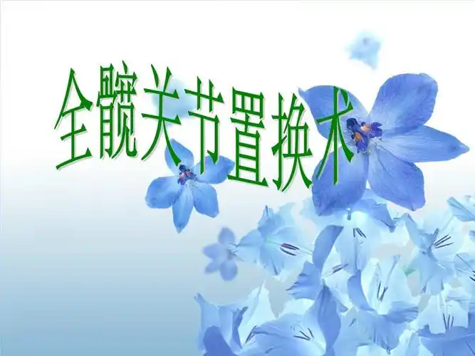 全髋关节置换术幻灯片.ppt