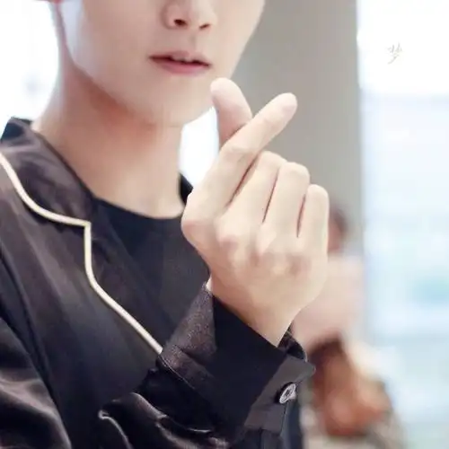 邢昭林的手指爱心