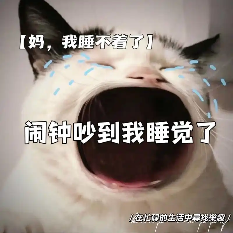 烦死闹钟了!又吵我睡觉