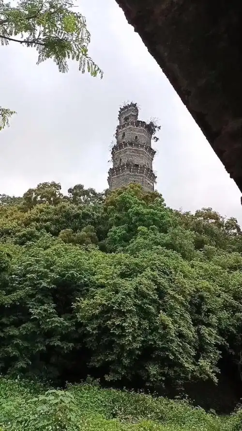 91潮州江东三元塔下,韩江急水,白鹭飞翔,风景这边独好!