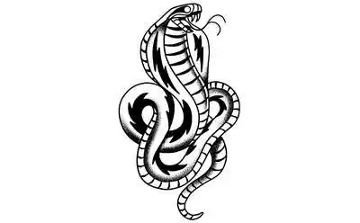 76张黑白眼镜蛇纹身手稿图片