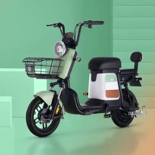 绿源电动自行车锂电池可提取 zfb翻糖48v12a 成人男女通用代步电瓶车