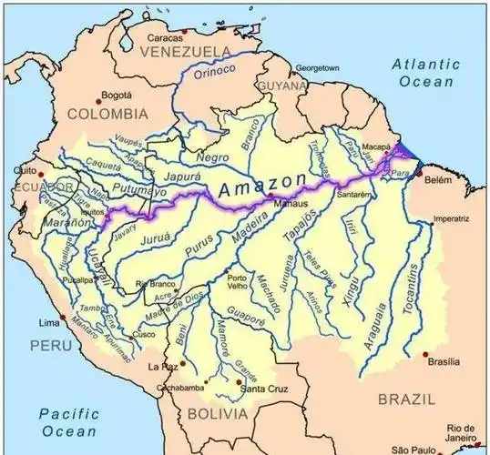原创亚马逊河到底有多可怕连当地人都不敢下河游泳