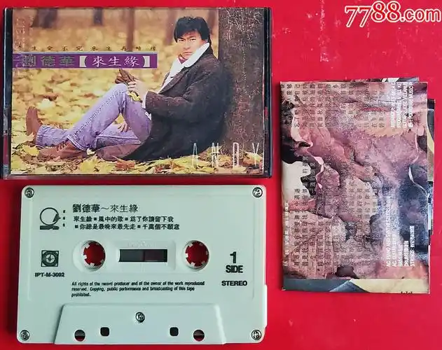 刘德华来生缘01221