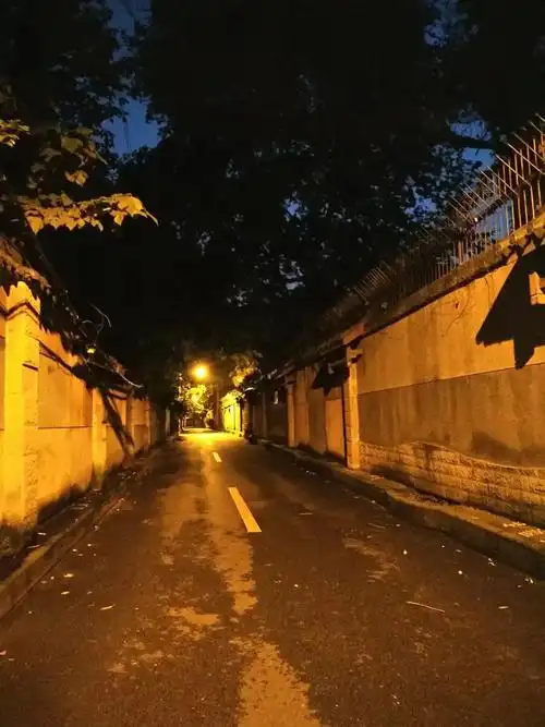 夏日夜晚街道